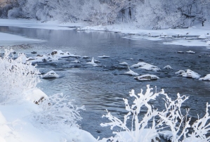Житомир.info | Казкові зимові пейзажі біля житомирської греблі. Фоторепортаж